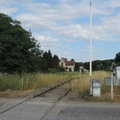 Overgrown Tracks