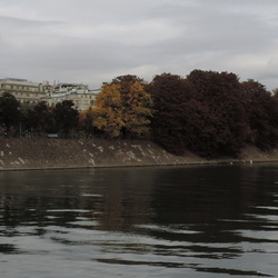 Ile des Cygnes