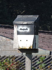 Bat box