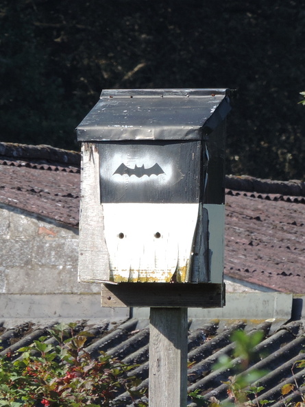 064-BatBox.jpg