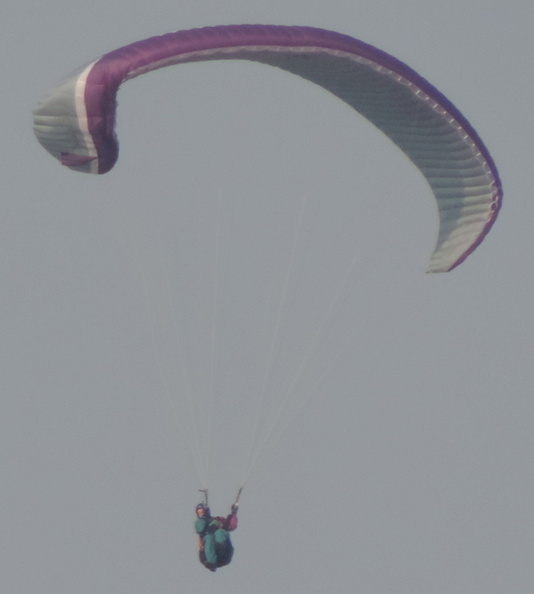 20-Paraglider.jpg