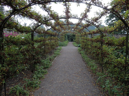 Tunnel