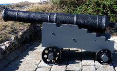 Cannon