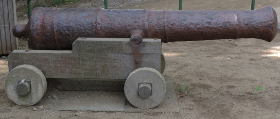 Cannon