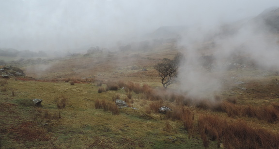 Misty hillside
