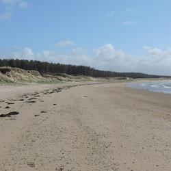 Newborough