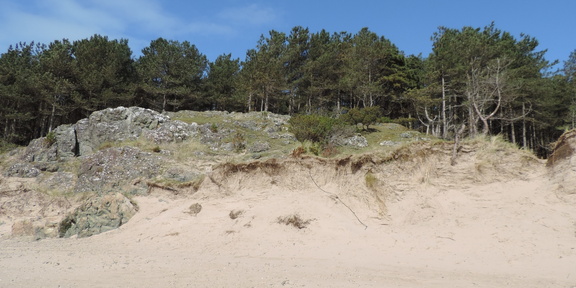 Rocky dune