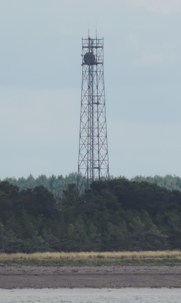 14-Mast.jpg