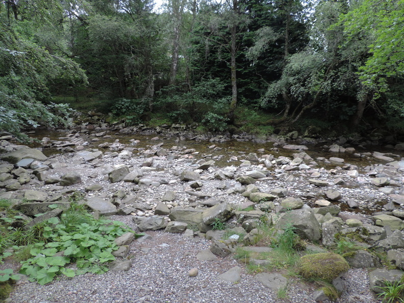 03-Stream.jpg