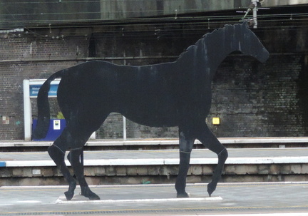 Horse at Birmingham