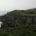Along the cliffs