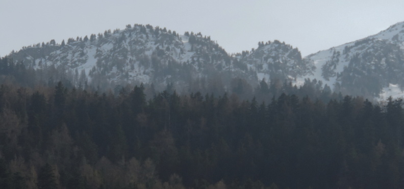 Wooded peak