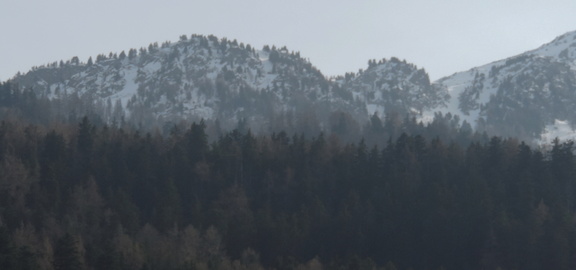 Wooded peak