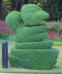 Unidentified topiary