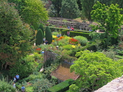 Colourful garden
