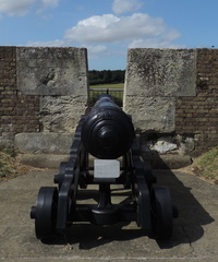 Cannon