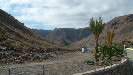 Palms up the valley