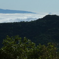 Forest and clouds