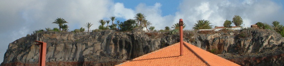 Cliff with palms