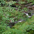 Flowing streams