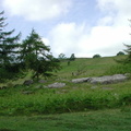Hillside with rocks