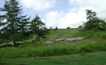 Hillside with rocks