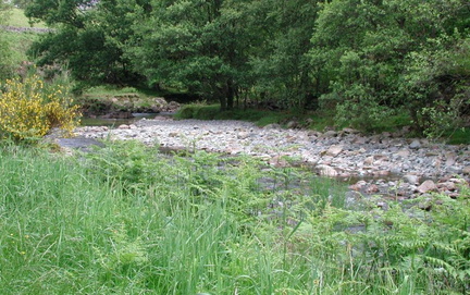 Grass, river and stones