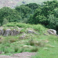 Rocky mound