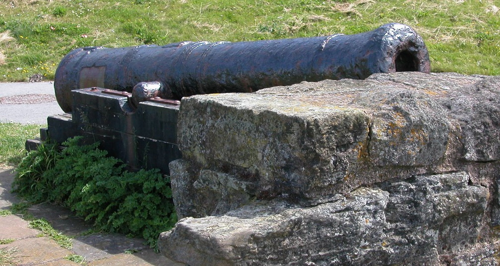 Cannon