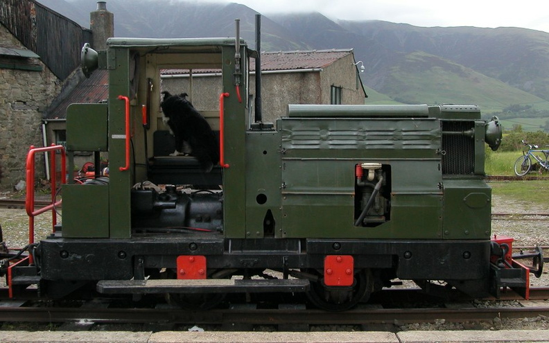 2e-TrainDog.jpg