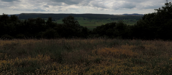 Across the fields