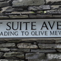 Loft Suite Avenue
