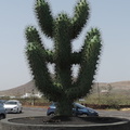 Cactus sculpture