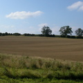 Contoured field