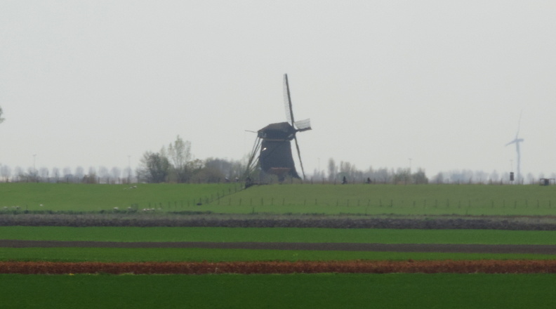 24-Windmill.jpg