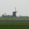 Windmill