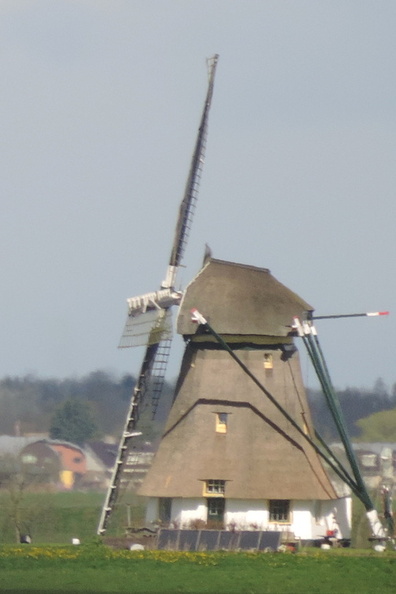 05-Windmill.jpg