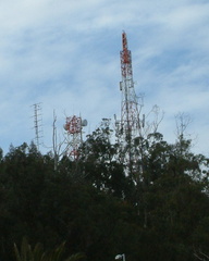 Masts