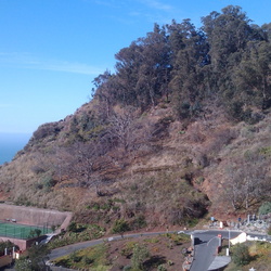 Site