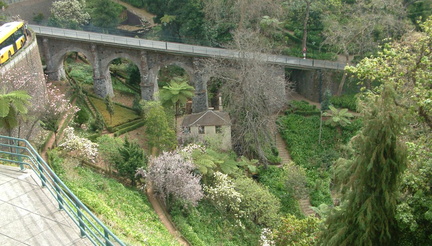 Bridge over garden