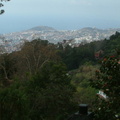 View over Funchal