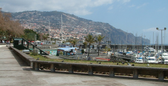 Along the sea front