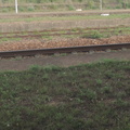 Grassy platforms
