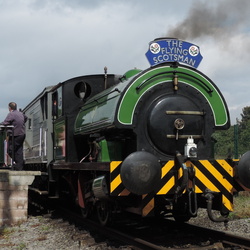 Locomotion