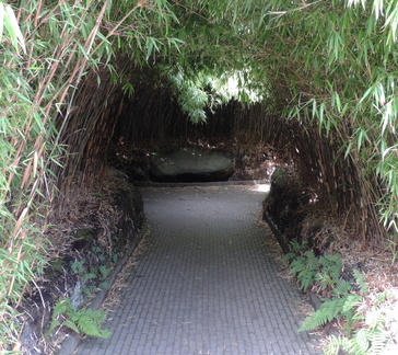 Bamboo maze