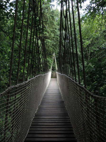 Rope bridge