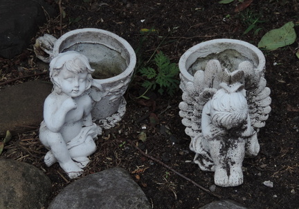 Fairy pots