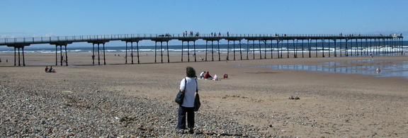 Pier above the beach