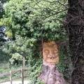 Tree with face