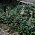 Meerkat shrine